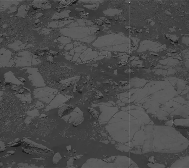 Sol 2004: Mast Camera (Mastcam)