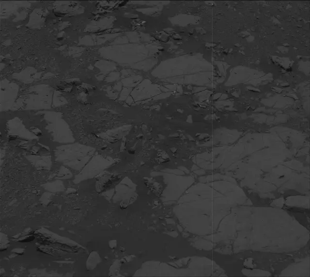 Sol 2004: Mast Camera (Mastcam)