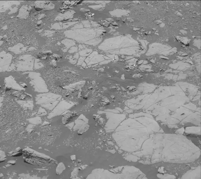 Sol 2004: Mast Camera (Mastcam)