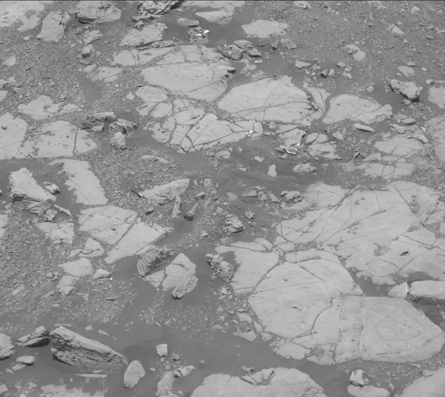 Sol 2004: Mast Camera (Mastcam)