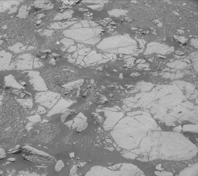 Sol 2004: Mast Camera (Mastcam)
