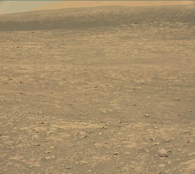 Sol 2004: Mast Camera (Mastcam)