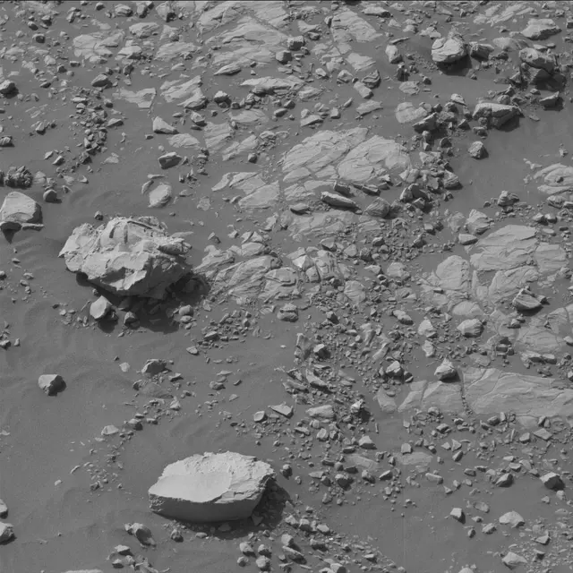 Sol 2004: Mast Camera (Mastcam)