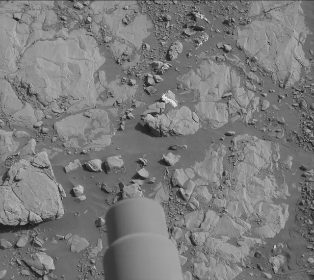 Sol 2004: Mast Camera (Mastcam)