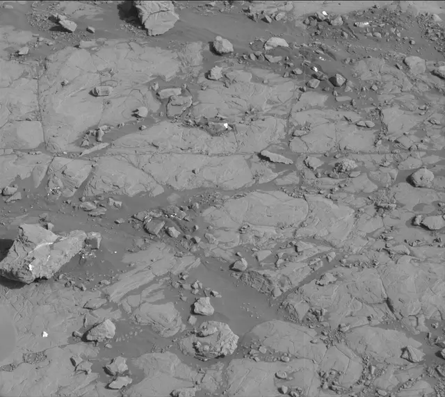 Sol 2004: Mast Camera (Mastcam)