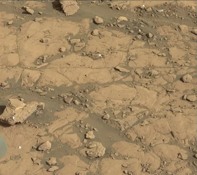 Sol 2004: Mast Camera (Mastcam)