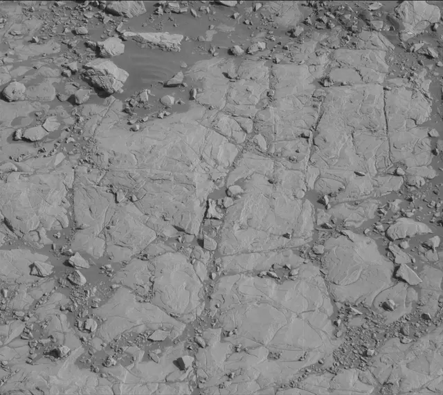 Sol 2004: Mast Camera (Mastcam)