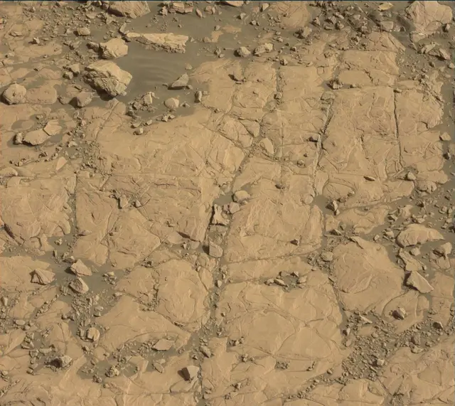 Sol 2004: Mast Camera (Mastcam)