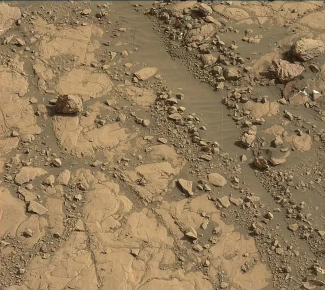 Sol 2004: Mast Camera (Mastcam)