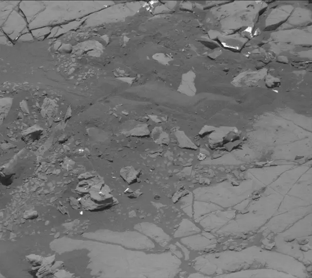 Sol 2004: Mast Camera (Mastcam)
