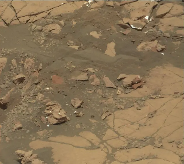 Sol 2004: Mast Camera (Mastcam)