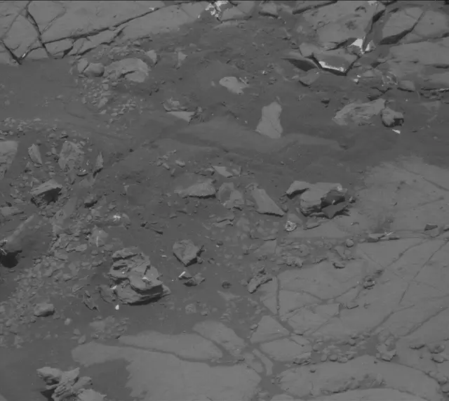 Sol 2004: Mast Camera (Mastcam)