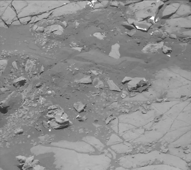 Sol 2004: Mast Camera (Mastcam)