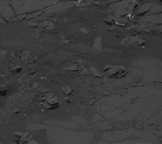 Sol 2004: Mast Camera (Mastcam)
