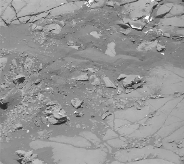 Sol 2004: Mast Camera (Mastcam)