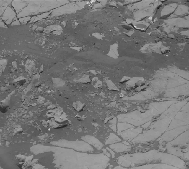 Sol 2004: Mast Camera (Mastcam)