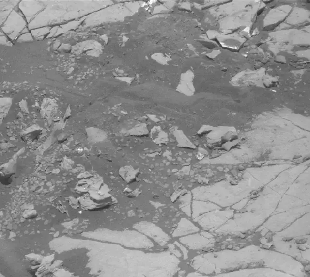 Sol 2004: Mast Camera (Mastcam)