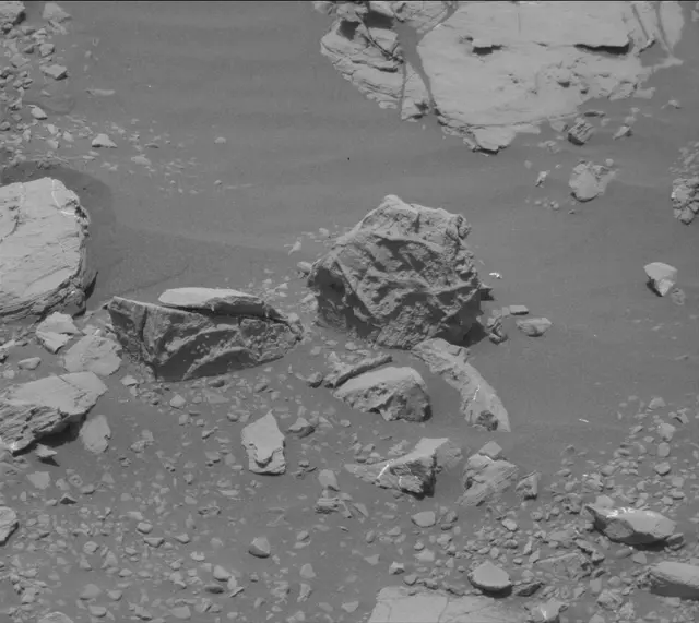 Sol 2004: Mast Camera (Mastcam)