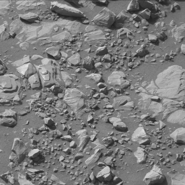 Sol 2004: Mast Camera (Mastcam)