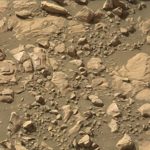 Sol 2004: Mast Camera (Mastcam)