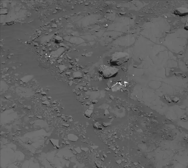 Sol 2005: Mast Camera (Mastcam)