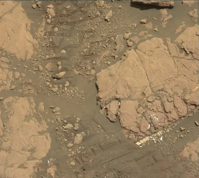Sol 2005: Mast Camera (Mastcam)