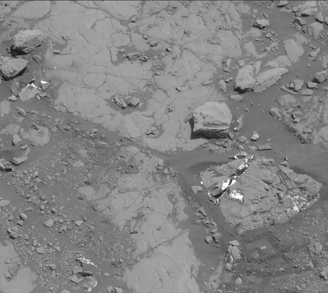 Sol 2005: Mast Camera (Mastcam)