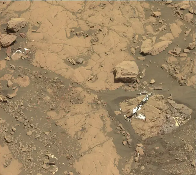 Sol 2005: Mast Camera (Mastcam)