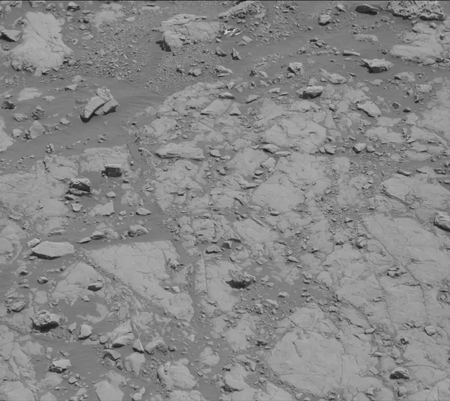 Sol 2005: Mast Camera (Mastcam)