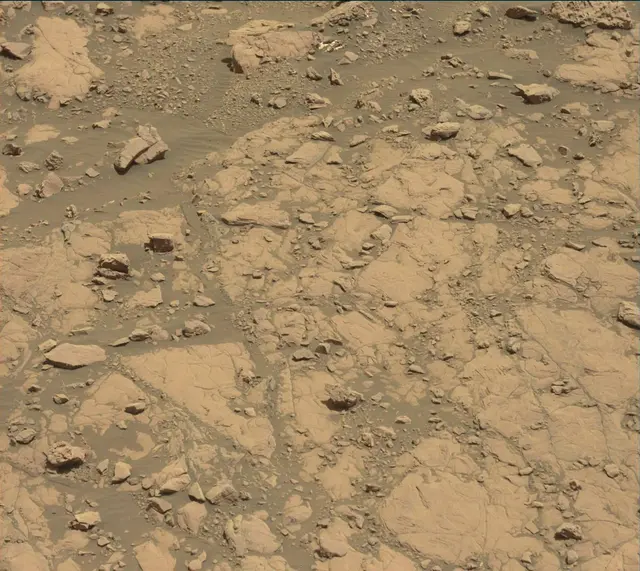 Sol 2005: Mast Camera (Mastcam)