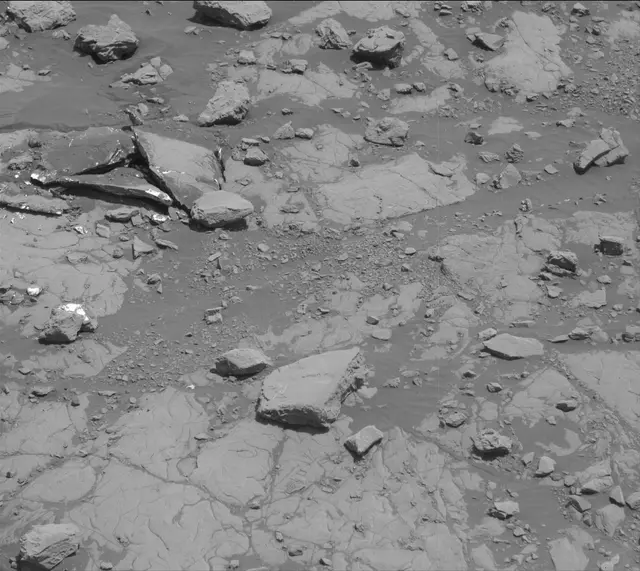 Sol 2005: Mast Camera (Mastcam)