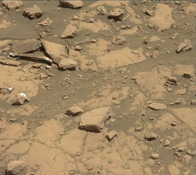 Sol 2005: Mast Camera (Mastcam)