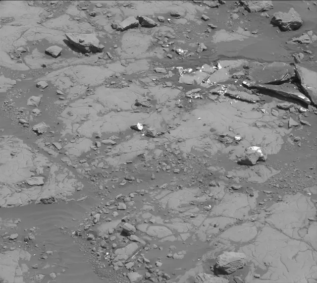 Sol 2005: Mast Camera (Mastcam)