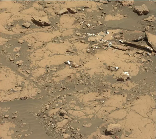 Sol 2005: Mast Camera (Mastcam)