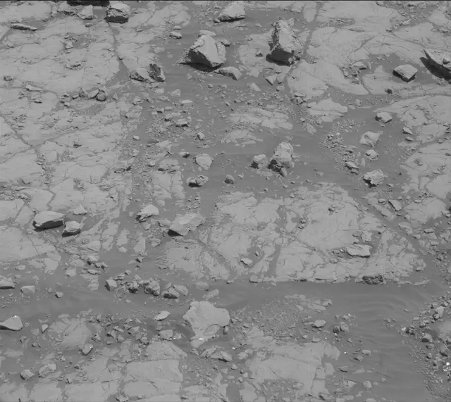 Sol 2005: Mast Camera (Mastcam)