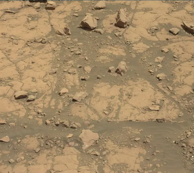 Sol 2005: Mast Camera (Mastcam)