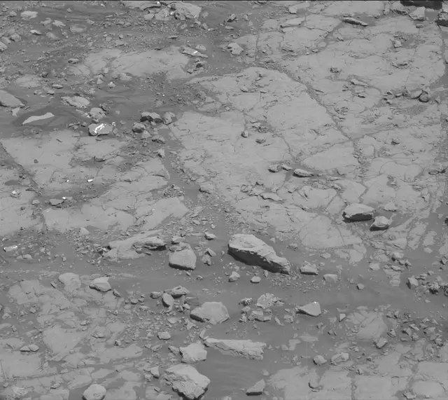 Sol 2005: Mast Camera (Mastcam)