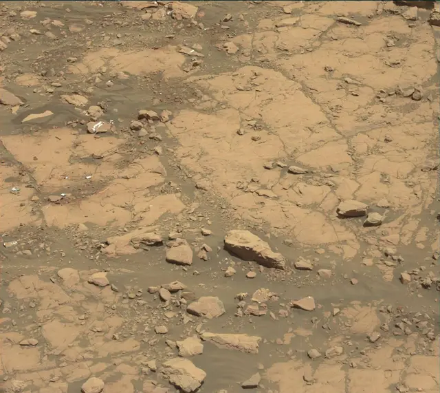 Sol 2005: Mast Camera (Mastcam)
