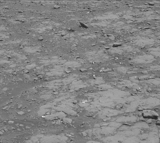 Sol 2005: Mast Camera (Mastcam)