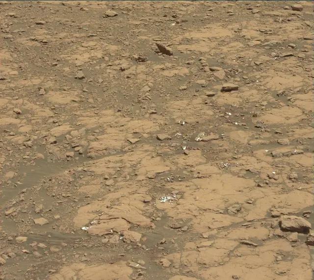 Sol 2005: Mast Camera (Mastcam)