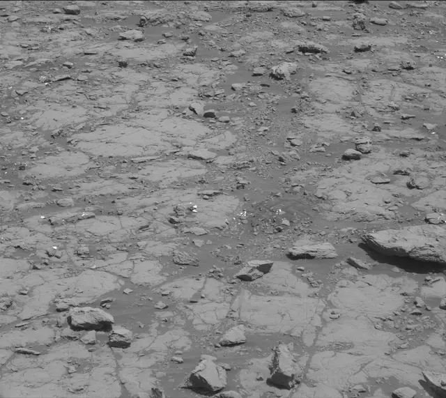Sol 2005: Mast Camera (Mastcam)