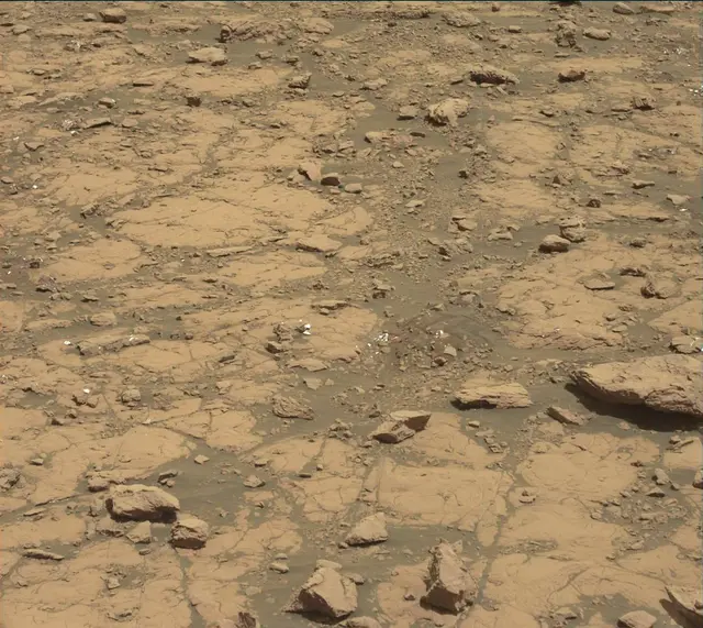 Sol 2005: Mast Camera (Mastcam)