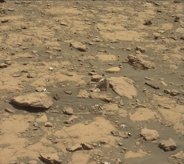 Sol 2005: Mast Camera (Mastcam)