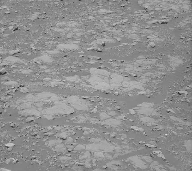 Sol 2005: Mast Camera (Mastcam)