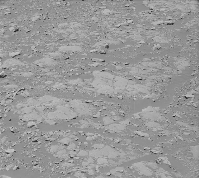 Sol 2005: Mast Camera (Mastcam)