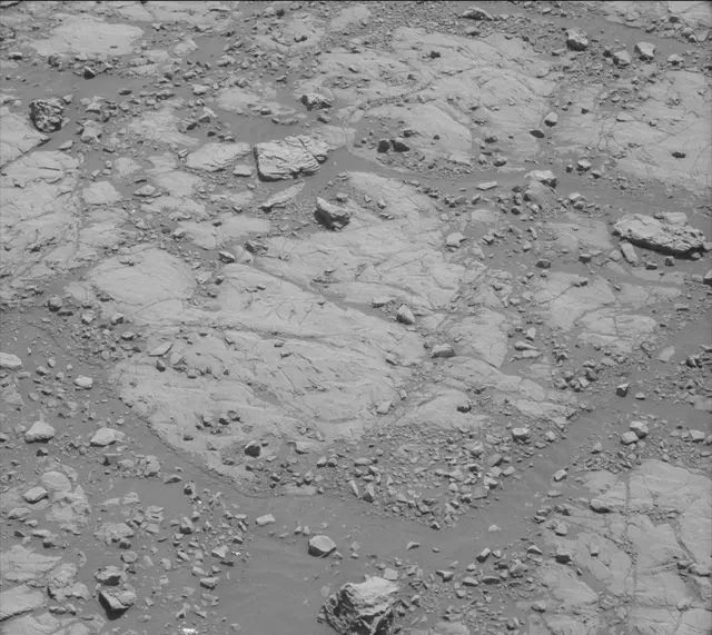 Sol 2005: Mast Camera (Mastcam)