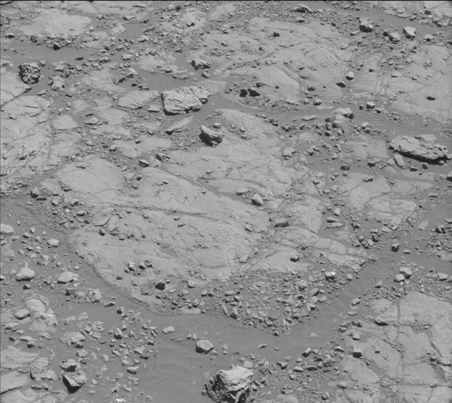 Sol 2005: Mast Camera (Mastcam)