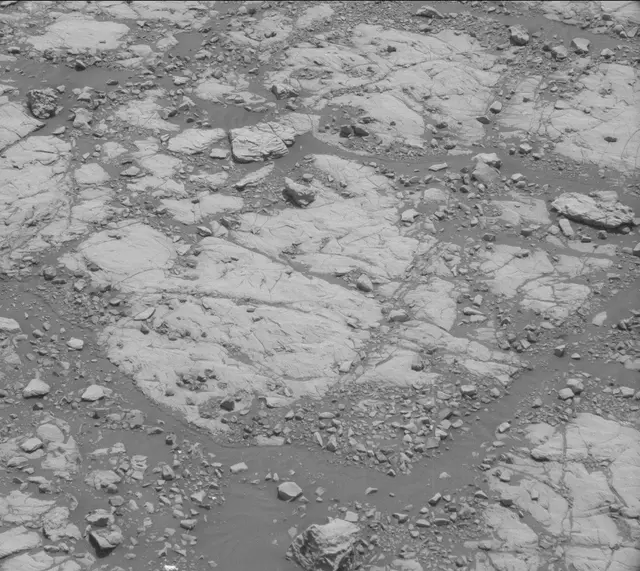 Sol 2005: Mast Camera (Mastcam)