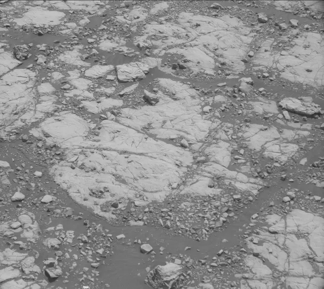 Sol 2005: Mast Camera (Mastcam)