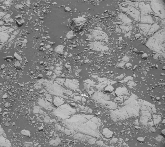 Sol 2005: Mast Camera (Mastcam)